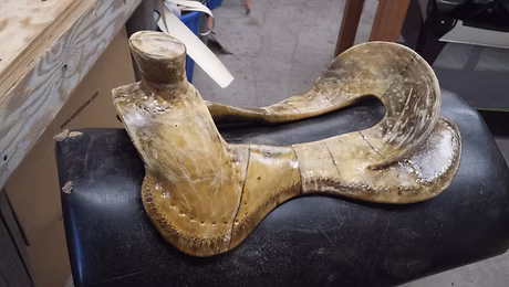 Tree layed out with center references, stirrup leather slots, and low spot using squares, dividers, and lasers to double